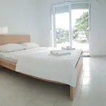 Toro *