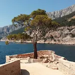 Toro * سفيتا نيدلجا